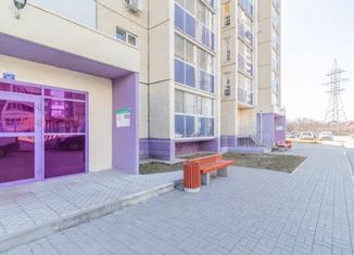 Двухкомнатная квартира на продажу, 44.8 м2, Челябинск, улица Архитектора Александрова, 2А, ЖК Самоцвет