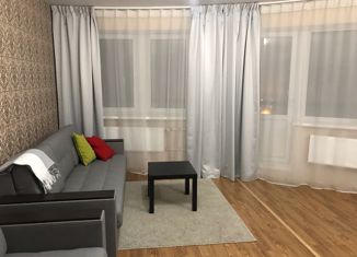 Квартира в аренду студия, 31 м2, Санкт-Петербург, улица Михаила Дудина, 25к2, улица Михаила Дудина