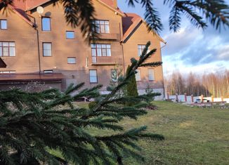 Продаю дом, 1024 м2, деревня Лучки, деревня Лучки, 68