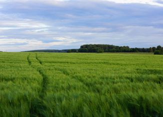 Продаю участок, 920 сот., село Кунашак