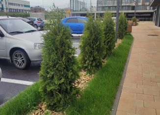 Продаю квартиру студию, 24.1 м2, Ставрополь, Тюльпановая улица, 12, микрорайон № 29