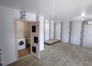 1-комнатная квартира на продажу, 35.5 м2, Каменка, улица Суворова, 53