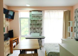 Квартира на продажу студия, 29 м2, село Орёл-Изумруд, улица Лазурная Долина, 85Б