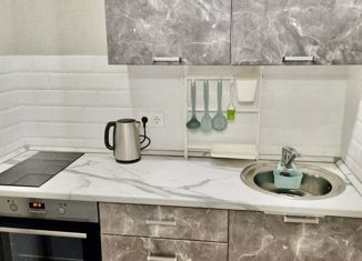 Продается 1-ком. квартира, 27.3 м2, деревня Царёво, улица Петра Гаврилова, 26