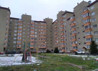 Продаю двухкомнатную квартиру, 60 м2, Пушкин, Красносельское шоссе, 55