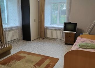 Продам 1-комнатную квартиру, 24 м2, Шуя, 1-я Нагорная улица, 3