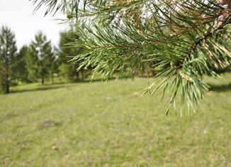 Участок на продажу, 10 сот., село Элекмонар