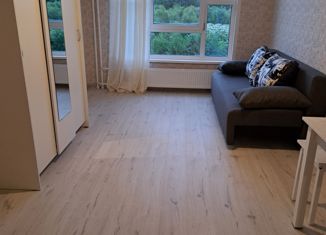 Продаю квартиру студию, 24.4 м2, деревня Лаврики, деревня Лаврики, 67