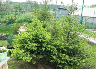 Продажа дома, 60 м2, Первоуральск