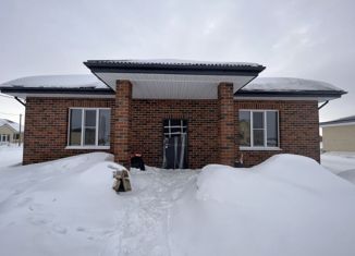 Продам дом, 98.5 м2, село Нижние Метески, Рябиновая улица, 8