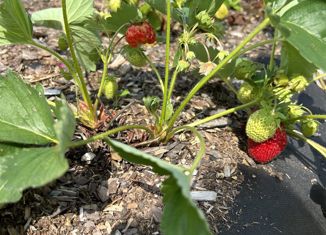 Продам участок, 7 сот., Байкальск