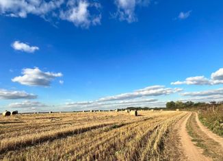 Земельный участок на продажу, 6 сот., деревня Барыбино, деревня Барыбино, 12А