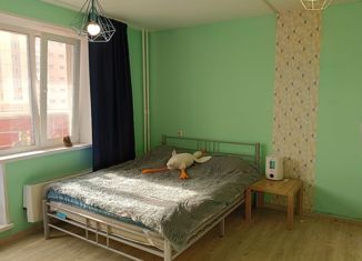 Квартира на продажу студия, 24 м2, Челябинская область, Светлая улица, 3