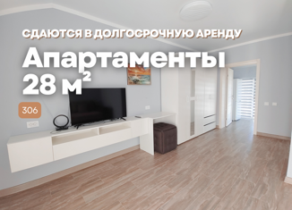 1-ком. квартира в аренду, 28 м2, поселок Веселовка, Весёлая улица, 7