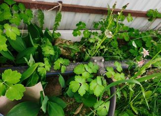 Продаю дом, 30 м2, деревня Орёл