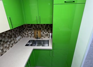 Продается 2-комнатная квартира, 48.1 м2, Новосибирск, улица Семьи Шамшиных, 12, метро Площадь Ленина