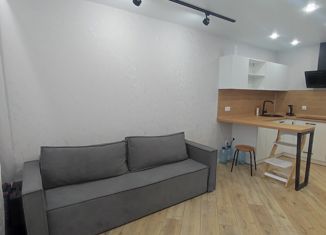 Продается квартира студия, 23.7 м2, Киров, Московская улица, 217, Октябрьский район