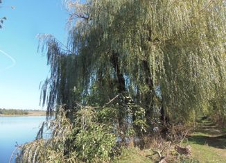 Продажа дома, 42.2 м2, хутор Песчаный, Красная улица, 30