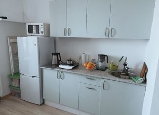 Аренда 1-ком. квартиры, 35 м2, Кудрово, Пражская улица, 14