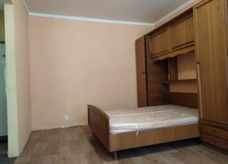 1-комнатная квартира на продажу, 25.6 м2, Нижний Новгород, улица Спутника, 24, метро Парк Культуры