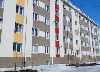 Продам однокомнатную квартиру, 41.7 м2, поселок городского типа Пангоды, проезд Газовиков, 2