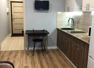 Продажа квартиры студии, 20.2 м2, Мурино, улица Шоссе в Лаврики, 63, ЖК Муринское-1