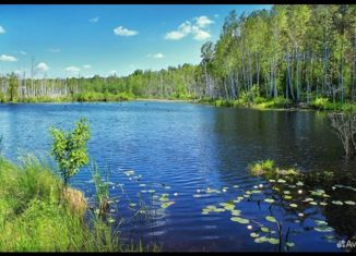 Продается участок, 5.8 сот., село Сенное, Берёзовая улица, 6А