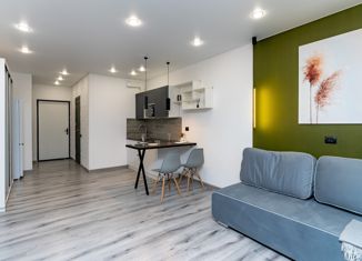 Продается квартира студия, 28.8 м2, Мурино, улица Шувалова, 40, ЖК Цвета радуги