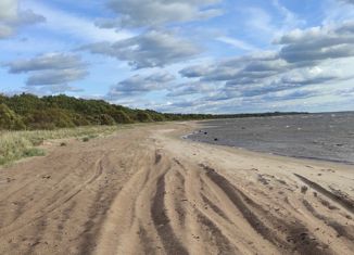 Продается земельный участок, 16.5 сот., деревня Кишкино