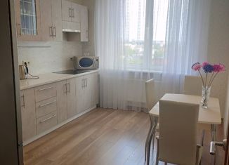 2-ком. квартира на продажу, 56 м2, Санкт-Петербург, Антокольский переулок, 4к1, Антокольский переулок