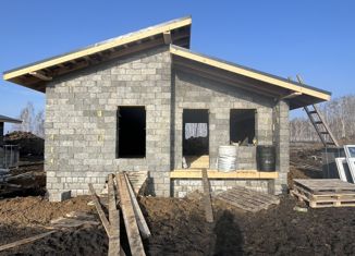 Продажа дома, 42 м2, село Дружино