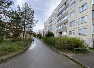 Продажа двухкомнатной квартиры, 47 м2, Шлиссельбург, улица Староладожский Канал, 26