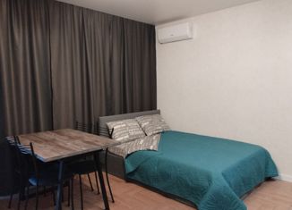 Квартира в аренду студия, 33 м2, Краснодарский край, улица Григорьева, 12к1