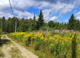 Продам участок, 8 сот., Новая Ладога, садоводческое некоммерческое товарищество Ивушка, 224