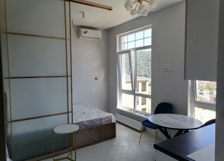 Продажа квартиры студии, 20 м2, село Высокое, Зелёная улица, 2А