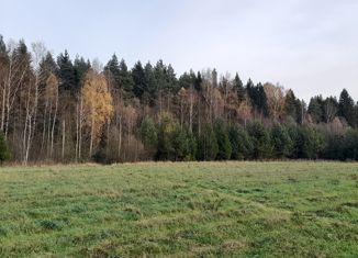 Продажа участка, 10 сот., рабочий посёлок Решетниково, Центральная улица