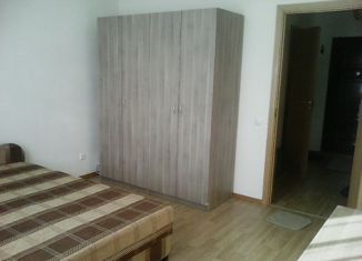 Сдам 1-ком. квартиру, 42 м2, деревня Кудрово, Центральная улица, 54