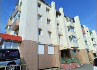 Продажа 2-ком. квартиры, 41.1 м2, Петропавловск-Камчатский, проспект 50 лет Октября, 6