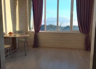 Квартира на продажу студия, 35.8 м2, садовое товарищество Кипарис, садовое товарищество Кипарис, 11