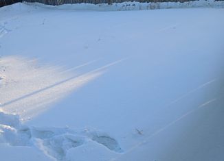 Продаю земельный участок, 10 сот., деревня Большежилкина