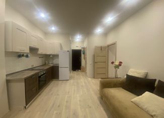 Продается 2-ком. квартира, 45 м2, Сочи, Пластунская улица, 234А, микрорайон КСМ