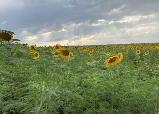 Дом на продажу, 60 м2, село Сенгилеевское, Пионерская улица