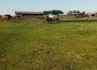 Продам дом, 134 м2, деревня Карловка