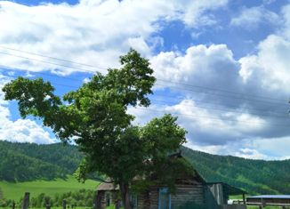 Продам земельный участок, 27 сот., село Черный Ануй
