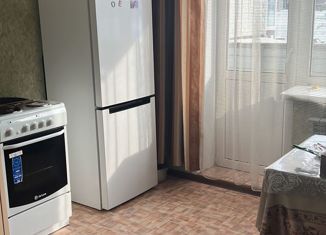 Продажа 1-ком. квартиры, 28.2 м2, село Майма, улица Д. Климкина, 20к2