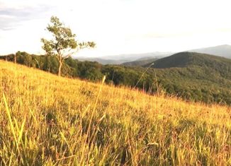 Продаю участок, 2500 сот., село Текос