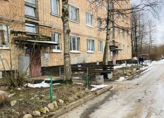 Двухкомнатная квартира на продажу, 46.3 м2, городской поселок Большая Ижора, улица Астанина, 13