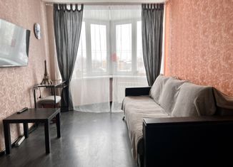Продается 1-комнатная квартира, 28.2 м2, Петрозаводск, набережная Ла-Рошель, 13, район Голиковка