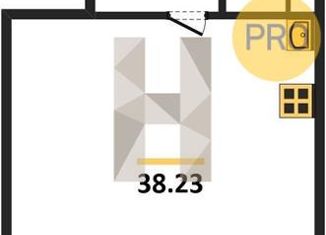 Продается квартира студия, 38 м2, Новосибирск, Ядринцевская улица, 55, Ядринцевская улица