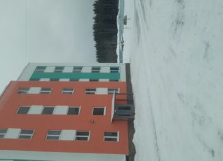 Продажа однокомнатной квартиры, 30 м2, Подпорожье, проспект Кирова, 25к1